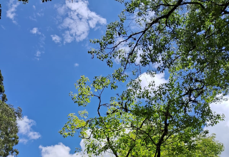 Sol entre nuvens caracterizou o céu durante o mês - Foto – Gerson Lopes – ON