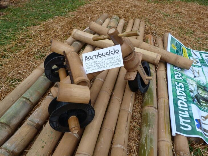 Produtores de bambu gigante buscam parceria para um projeto social a fim de produzir bambuciclos para doação a crianças em vulnerabilidade social