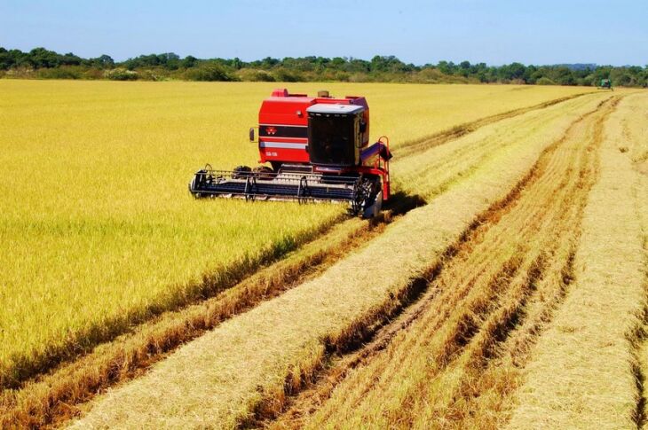 Apesar das condições climáticas, safra 2014 deve ser semelhante a dos últimos anos