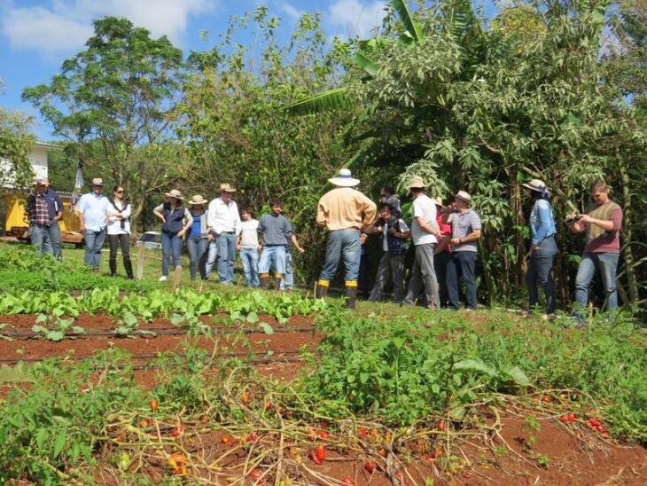 Grupo faz parte do Coletivo de Agroecologia