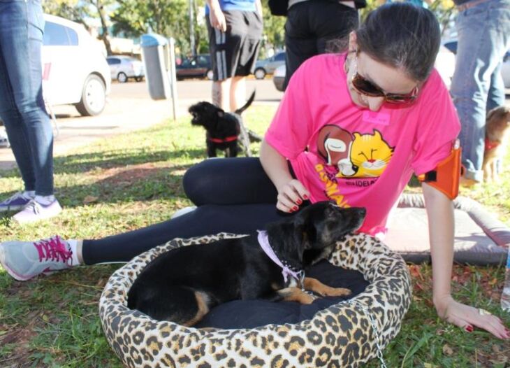 A coordenadora do projeto Adoção Animais Passo Fundo, Cassiana de Medeiros, e a cadela Tina, que foi abandonada nas ruas do bairro São Cristóvão