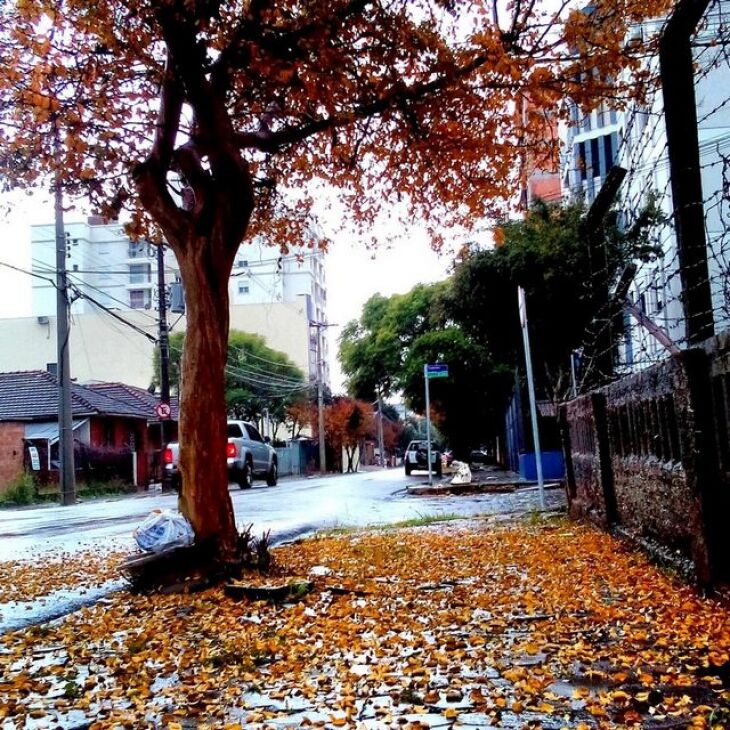 Nova área de instabilidade entra no Estado entre quarta e quinta-feira trazendo novamente a chuva