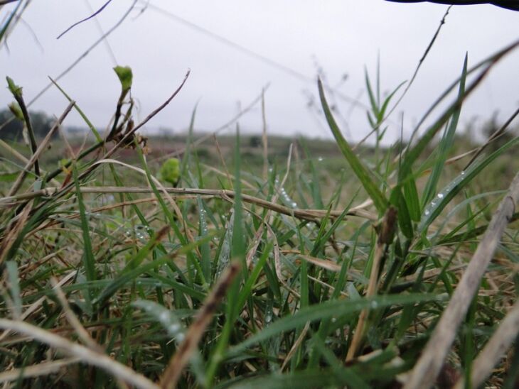 Nos últimos dias a instabilidade e a chuva fizeram com que a umidade relativa do ar aumentasse ainda mais na região Norte