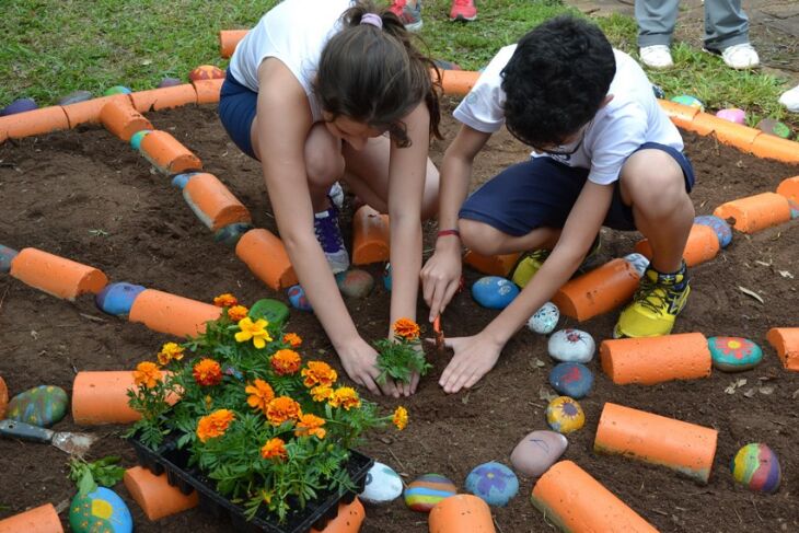 Estudantes montam um relógio com plantas medicinais