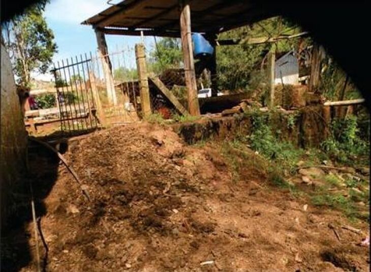 Caminho de esterco na passagem dos animais