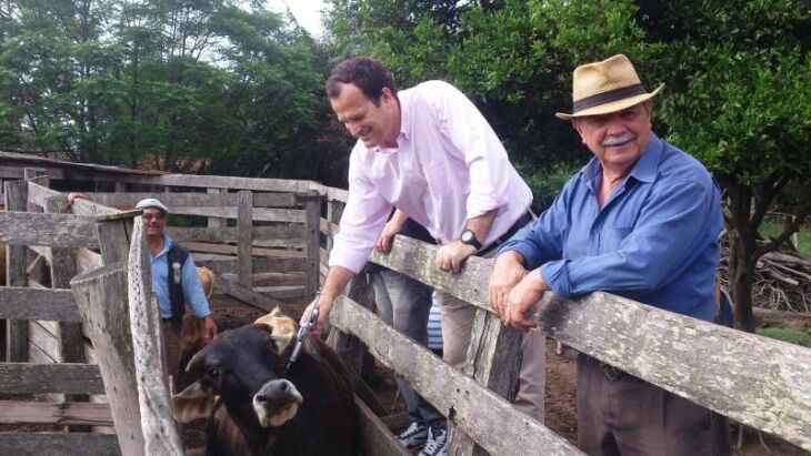 Fioreze disse que a imunização é fundamental para evitar a reintrodução do vírus na febre aftosa no Estado