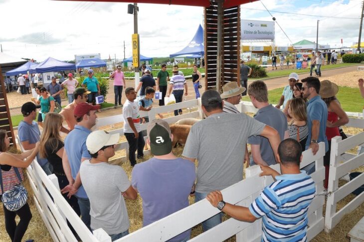 Acadêmicos da Faculdade de Agronomia e Medicina Veterinária participaram da atividade