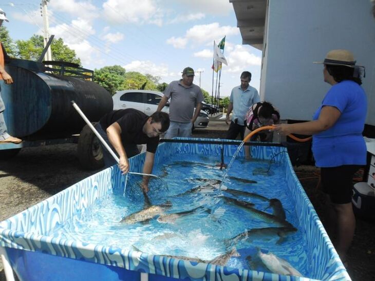 Região envolve 40 municípios produtores de peixe