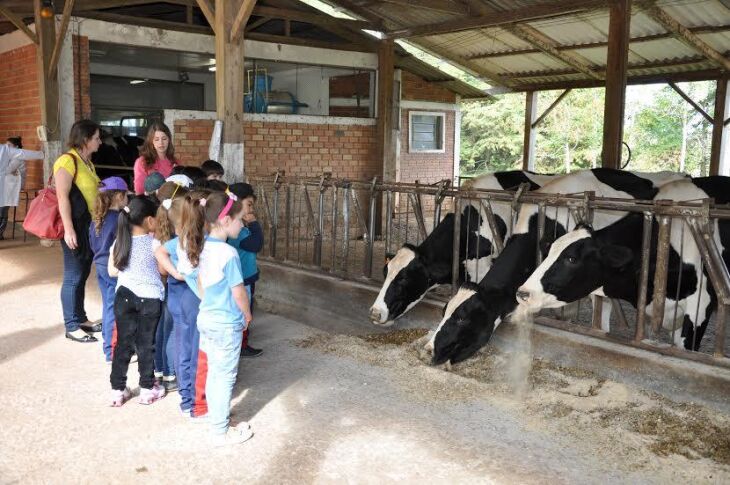 Alunos tiveram contato com os animais durante o passeio