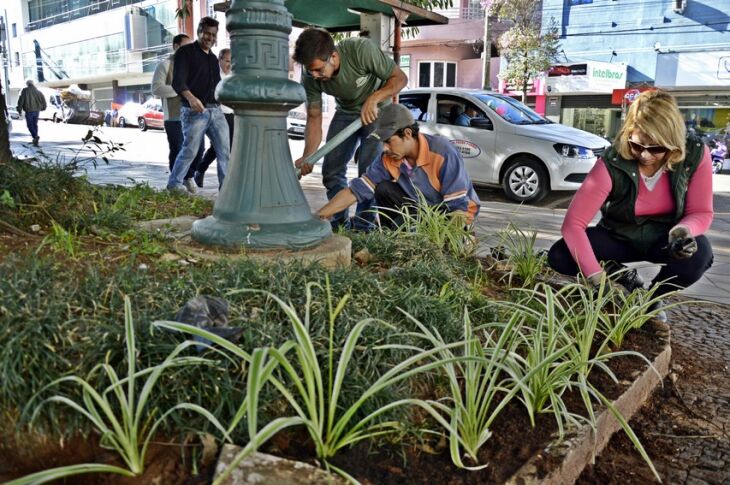 Leivas de grama e flores serão plantadas nos locais.