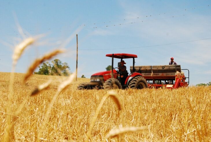 Rotação de culturas no sistema plantio direto, que envolve trigo, soja, sorgo e ervilhaca, pode diminuir em até 30% a emissão atmosférica de óxido nitroso, quando comparado à sucessão trigo-soja, que é bastante utilizada