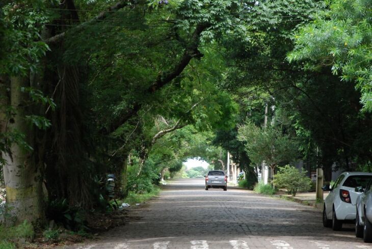 Área do Bosque Lucas Araújo embargada compreende mais de 500 mil metros quadrados Crédito: 