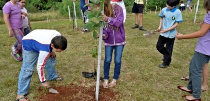 Objetivo é arborizar área urbana