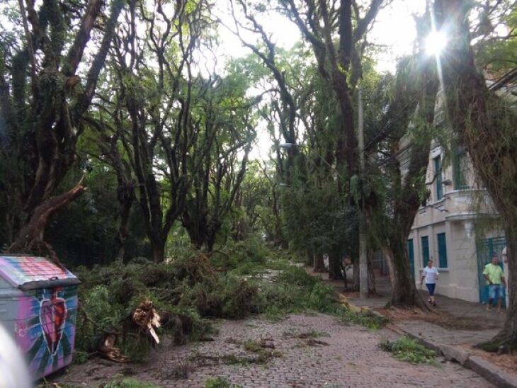 Árvores foram arrancadas no centro da cidade