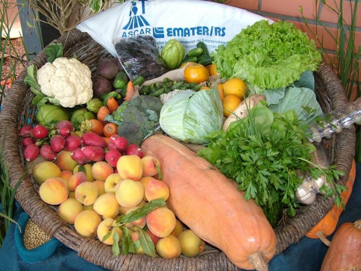 Diferentes produtos da agricultura familiar serão distribuídos a mais de 30 escolas de Passo Fundo