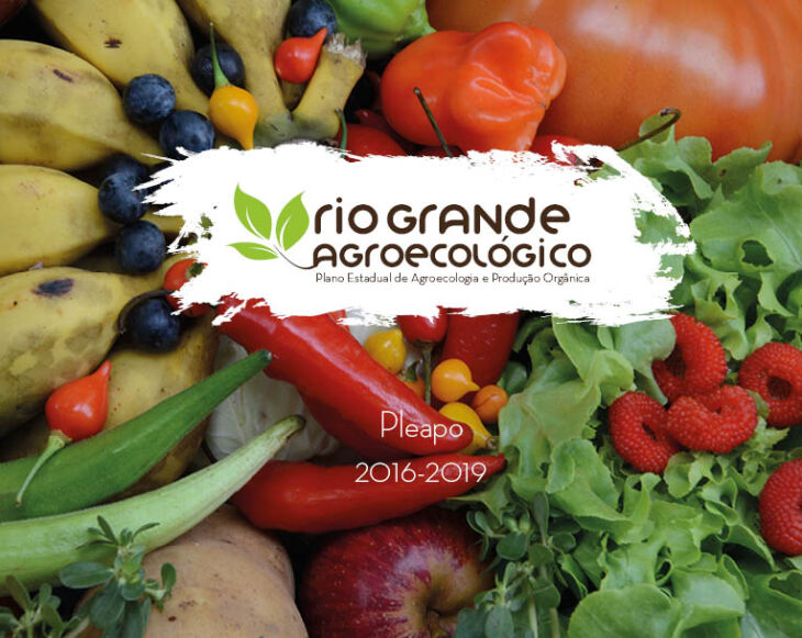 Rio Grande Agroecológico consiste em um dos instrumentos da Política Estadual de Agroecologia e Produção Orgânica e conta com ações e metas para promover a produção e o consumo de alimentos saudáveis