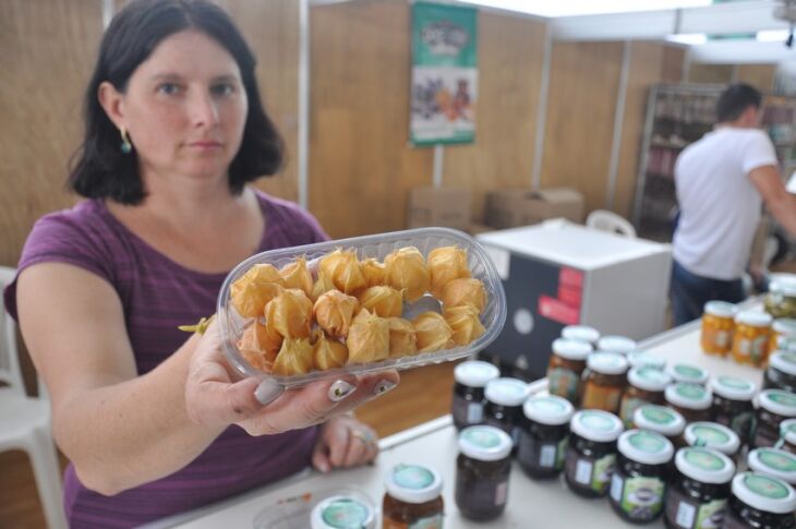 Adilena Ghena investe em produtos a partir de frutas como o Frisalis