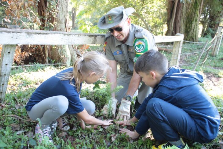 Estudantes do Instituto Menino Deus plantaram cerca de 100 mudas de araucárias na Fazenda da Brigada Militar