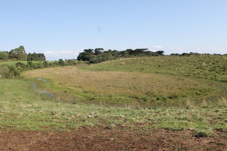 Passo Fundo é considerado município Berço das Águas