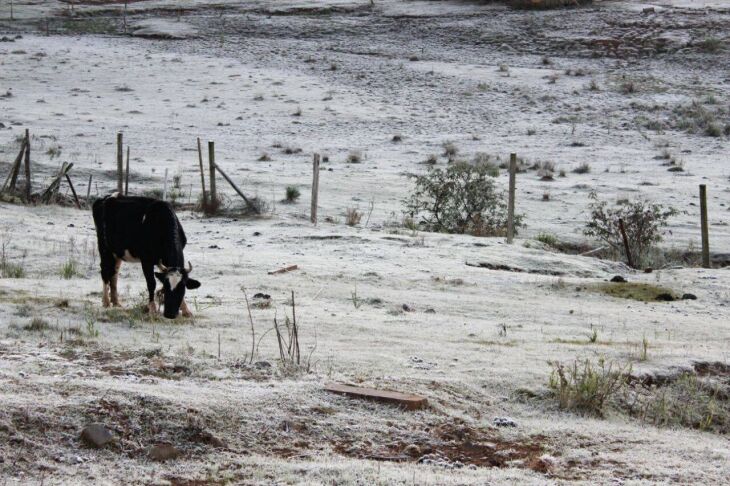 As baixas temperaturas, sem a presença de nuvens e vento, podem provocar a ocorrência de geada no domingo