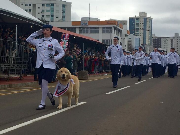 Desfile começou por volta de 8h e se estendeu até às 11h