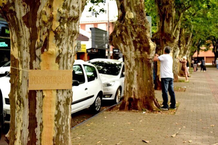 Placas com palavras lembram da importância do cuidado com o meio ambiente