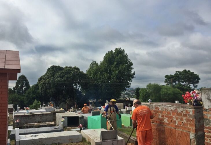 O cuidado especial deve ser dado aos pratos das plantas, evitando sempre que os recipientes fiquem com água parada