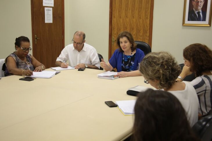 Secretária Maria Helena Sartori apresentou políticas estaduais contras as drogas aos representantes federais