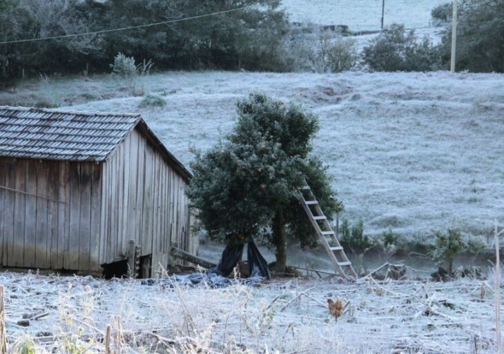 Inverno 2017 deve ter frio menos intenso