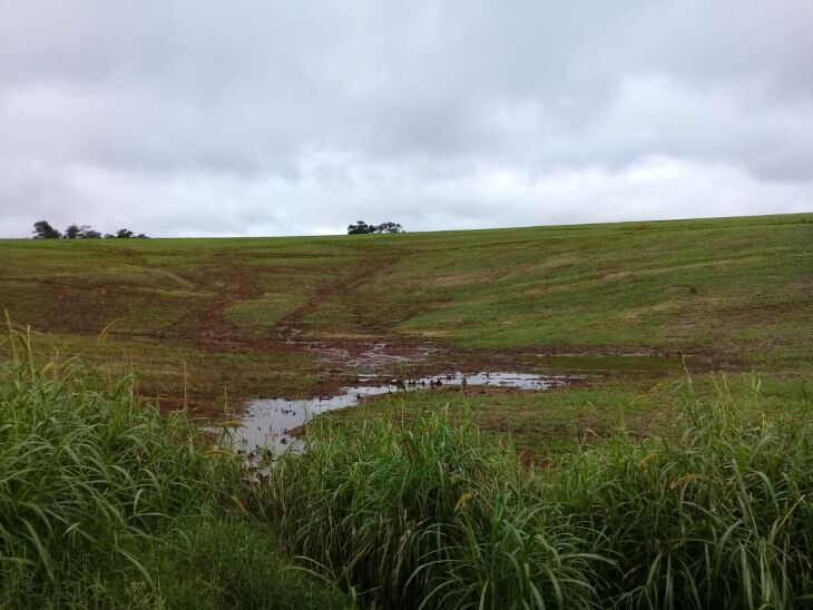 Área plantada passou dos 12% para 53% (385 mil hectares) com a melhora das condições meteorológicas nos últimos dias