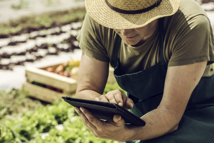 65,4% dos produtores gaúchos ouvidos revelaram ter adquirido insumos ou acessados mercados via web