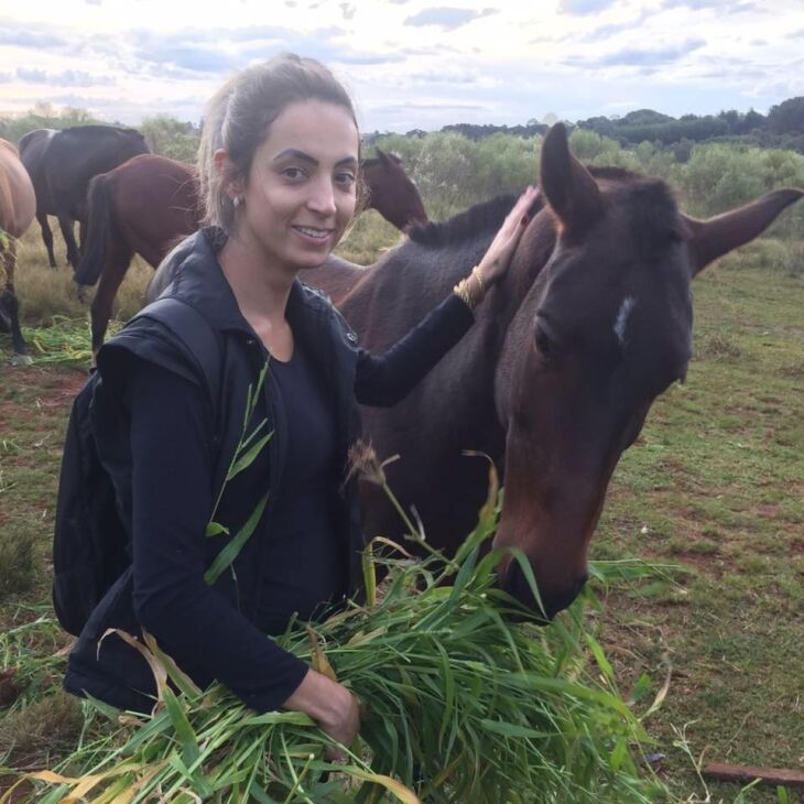 Ex-policial luta há sete anos para obter guarda de Nanquin, o cavalo que foi seu companheiro de patrulha