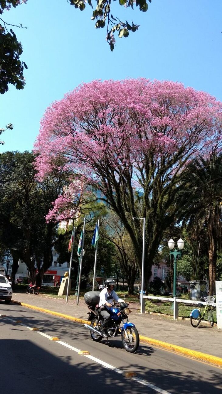 A quinta e a sexta-feira devem ser marcadas pela baixa umidade relativa do ar, que pode ficar abaixo dos 30%