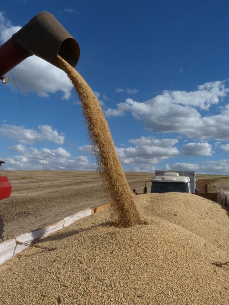 O principal produto exportado de Passo Fundo, a soja teve uma redução de 27,21% neste ano