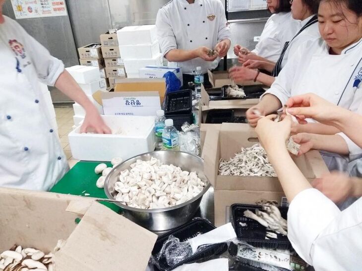 A cozinha onde tudo acontece