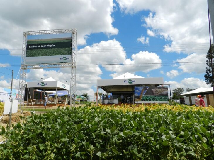 Embrapa também apresentará técnicas de manejo do solo e cultivo de soja