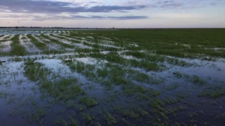 Chuvas castigam municípios e lavouras pelo estado