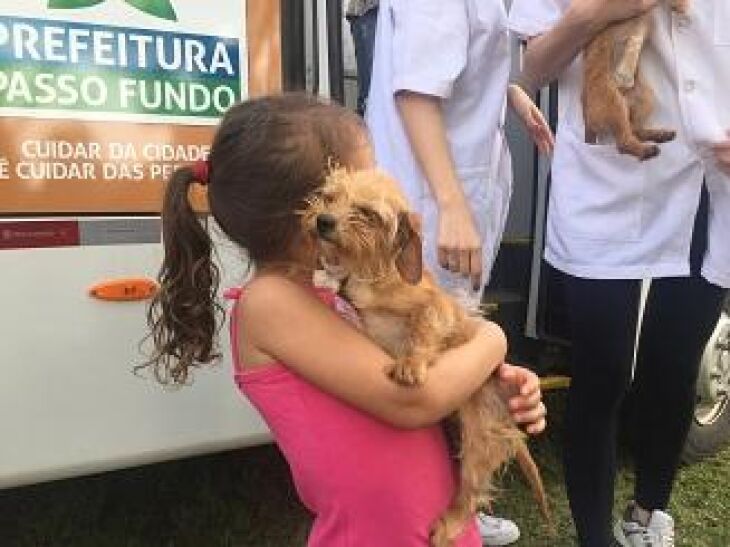 Programa auxilia no controle de animais abandonados na cidade