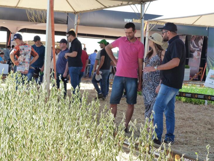 A agricultura de precisão permite a aplicação correta de insumos ao identificar as características do áreas e prever a fertilidade do solo