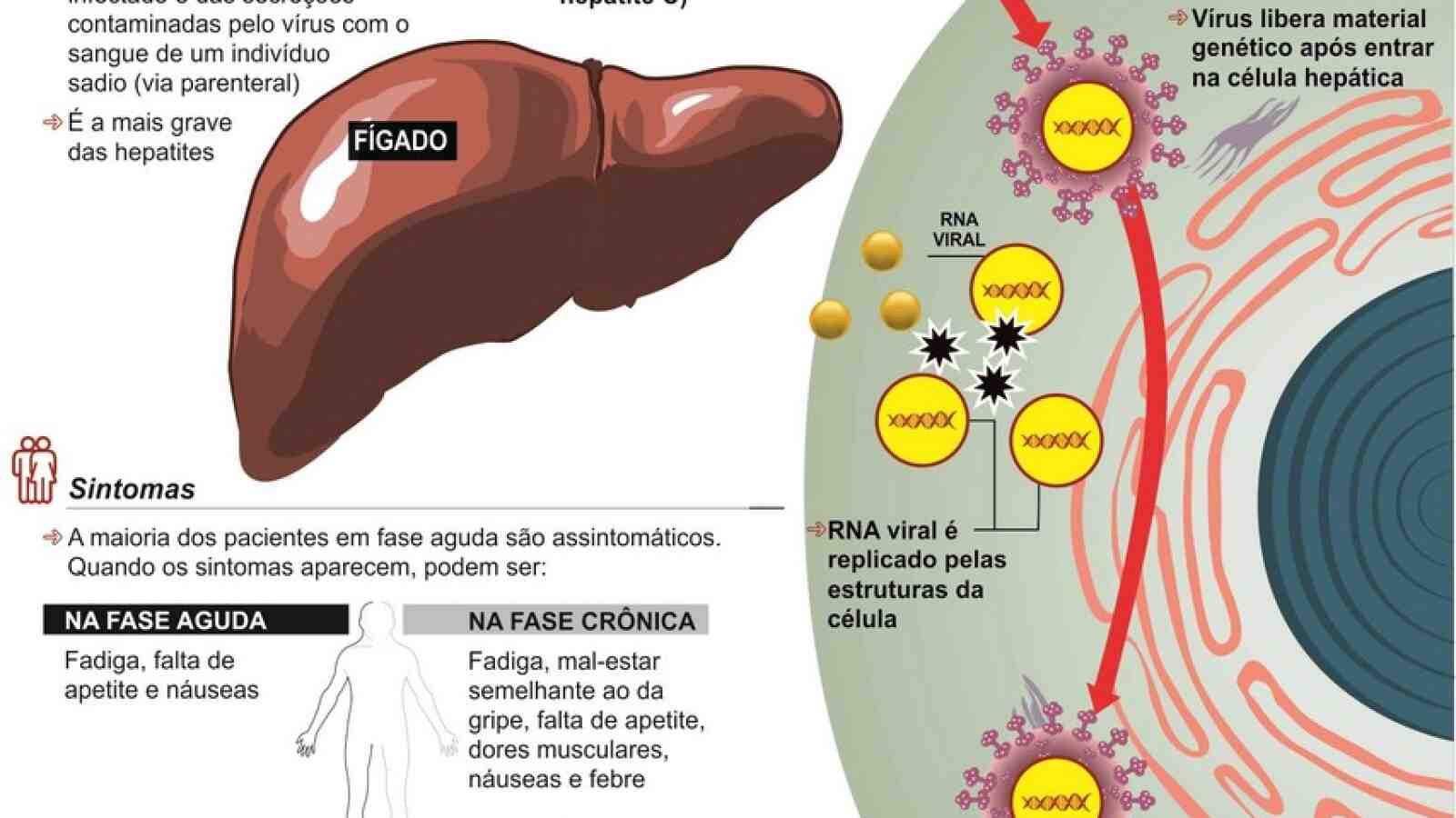 Novo tratamento para hepatite C tem até de cura O Nacional